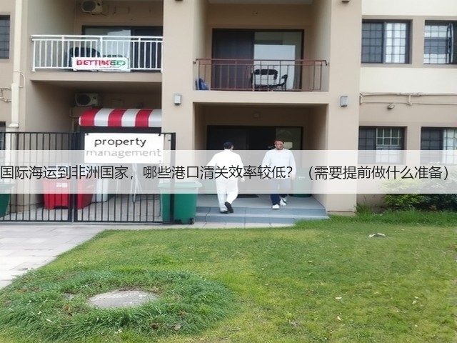 国际海运到非洲国家，哪些港口清关效率较低？（需要提前做什么准备）(图3)