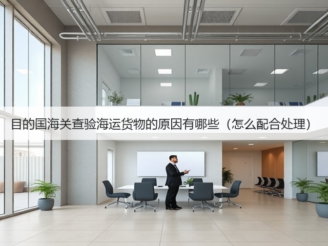 目的国海关查验海运货物的原因有哪些（怎么配合处理）(图1)