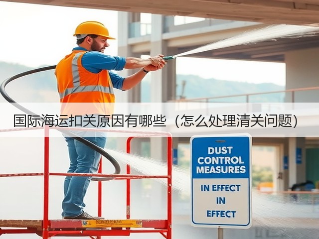 国际海运扣关原因有哪些(怎么处理清关问题)(图3) 国际海运扣关原因有哪些(怎么处理清关问题)(图3)