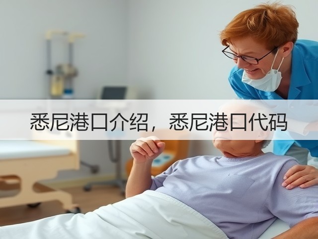 悉尼港口介绍,悉尼港口代码(图3) 悉尼港口介绍,悉尼港口代码(图3)