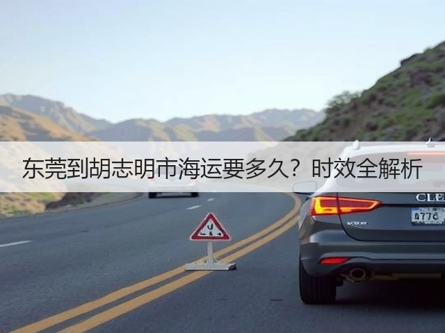 东莞到胡志明市海运要多久?时效全解析(图3) 东莞到胡志明市海运要多久?时效全解析(图3)