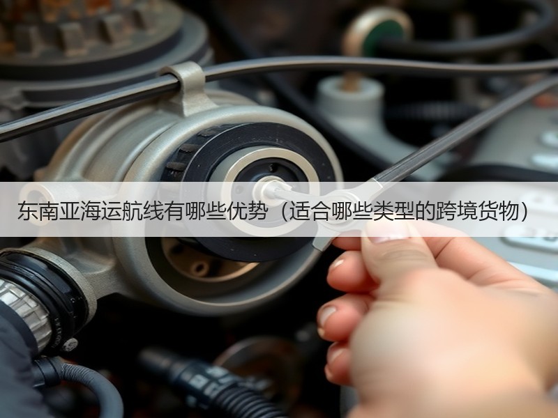 东南亚海运航线有哪些优势（适合哪些类型的跨境货物）