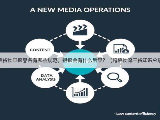 跨境货物申报品名有哪些规范，错报会有什么后果？（跨境物流干货知识分享）(图1)
