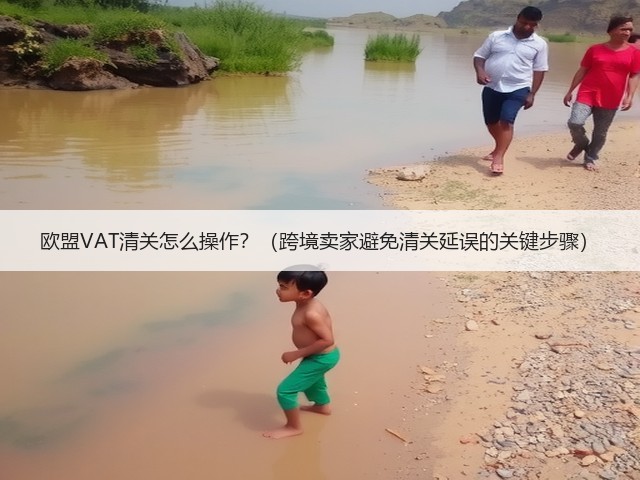 欧盟VAT清关怎么操作?(跨境卖家避免清关延误的关键步骤)(图2) 欧盟VAT清关怎么操作?(跨境卖家避免清关延误的关键步骤)(图2)