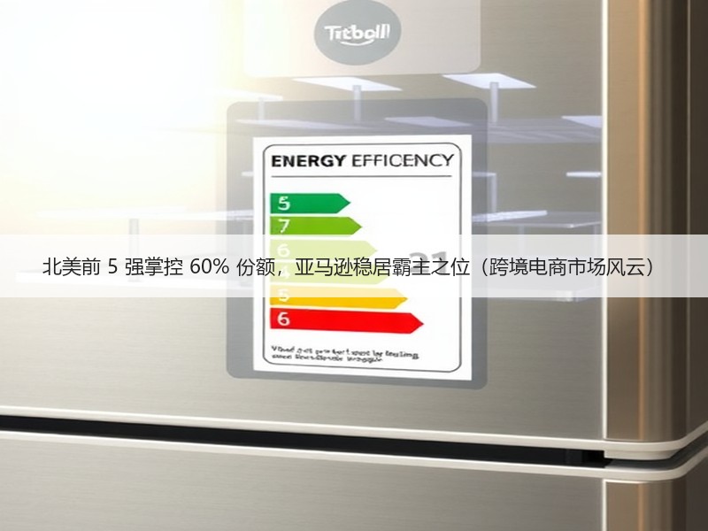 北美前 5 强掌控 60% 份额，亚马逊稳居霸主之位（跨境电商市场风云）