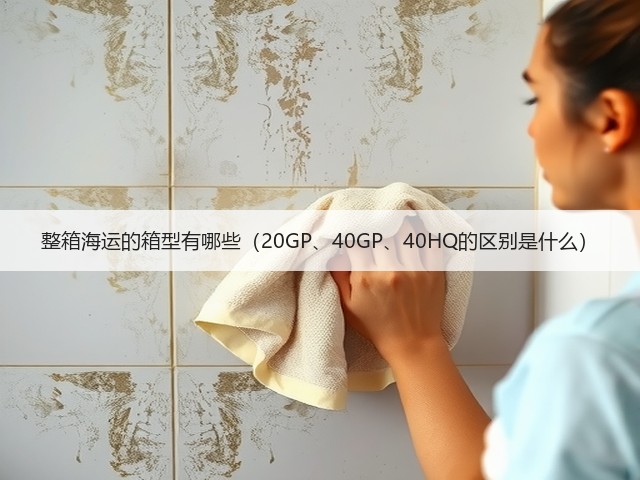 整箱海运的箱型有哪些(20GP、40GP、40HQ的区别是什么)(图3) 整箱海运的箱型有哪些(20GP、40GP、40HQ的区别是什么)(图3)