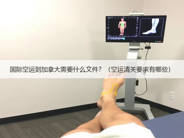 国际空运到加拿大需要什么文件?(空运清关要求有哪些)(图3) 国际空运到加拿大需要什么文件?(空运清关要求有哪些)(图3)