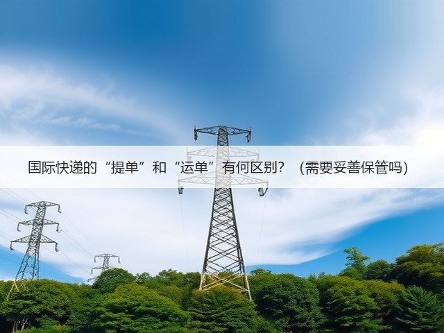 国际快递的“提单”和“运单”有何区别?(需要妥善保管吗)(图3) 国际快递的“提单”和“运单”有何区别?(需要妥善保管吗)(图3)