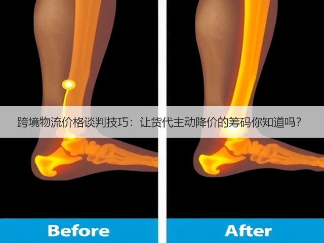 跨境物流价格谈判技巧:让货代主动降价的筹码你知道吗?(图2) 跨境物流价格谈判技巧:让货代主动降价的筹码你知道吗?(图2)