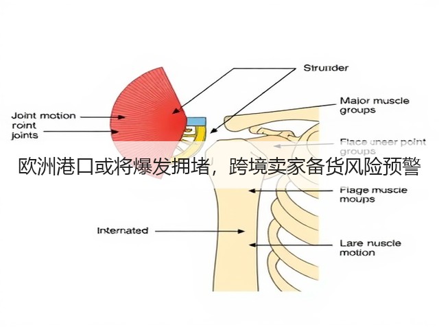欧洲港口或将爆发拥堵,跨境卖家备货风险预警(图3) 欧洲港口或将爆发拥堵,跨境卖家备货风险预警(图3)