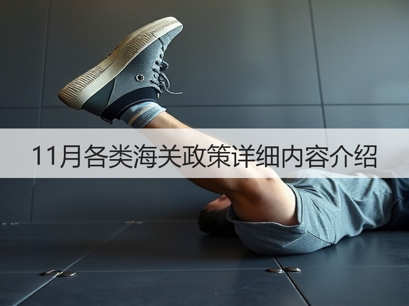 11月各类海关政策详细内容介绍 11月各类海关政策详细内容介绍
