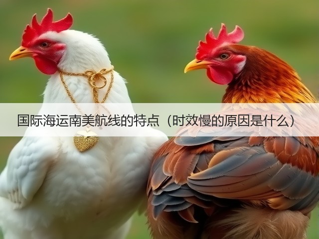 国际海运南美航线的特点(时效慢的原因是什么)(图1) 国际海运南美航线的特点(时效慢的原因是什么)(图1)
