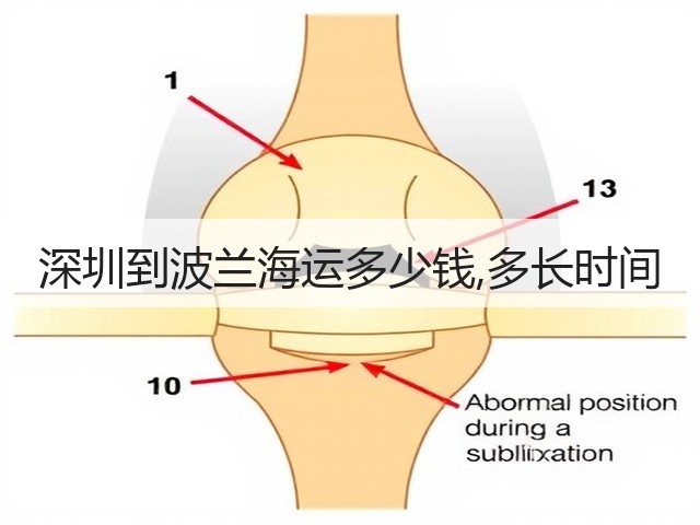 深圳到波兰海运多少钱,多长时间(图3) 深圳到波兰海运多少钱,多长时间(图3)