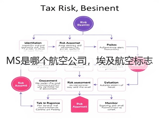 MS是哪个航空公司，埃及航空标志(图3)