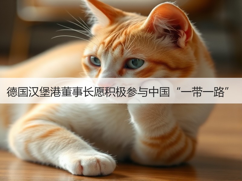 德国汉堡港董事长愿积极参与中国“一带一路” 德国汉堡港董事长愿积极参与中国“一带一路”