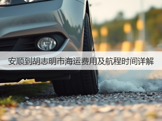 安顺到胡志明市海运费用及航程时间详解(图3) 安顺到胡志明市海运费用及航程时间详解(图3)
