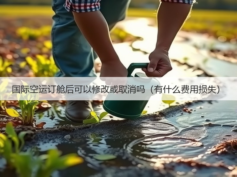 国际空运订舱后可以修改或取消吗（有什么费用损失）