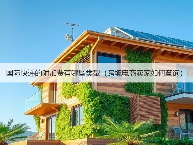 国际快递的附加费有哪些类型(跨境电商卖家如何查询)(图2) 国际快递的附加费有哪些类型(跨境电商卖家如何查询)(图2)