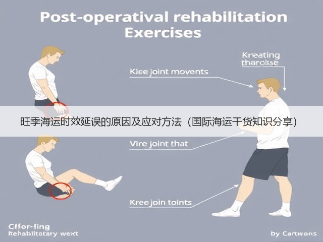 旺季海运时效延误的原因及应对方法(国际海运干货知识分享)(图2) 旺季海运时效延误的原因及应对方法(国际海运干货知识分享)(图2)