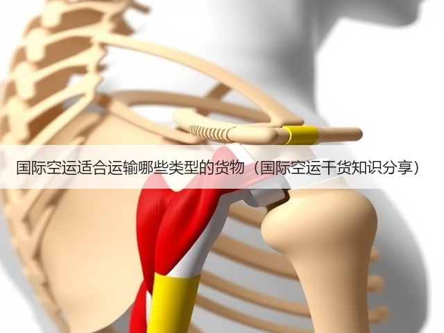 国际空运适合运输哪些类型的货物(国际空运干货知识分享)(图1) 国际空运适合运输哪些类型的货物(国际空运干货知识分享)(图1)