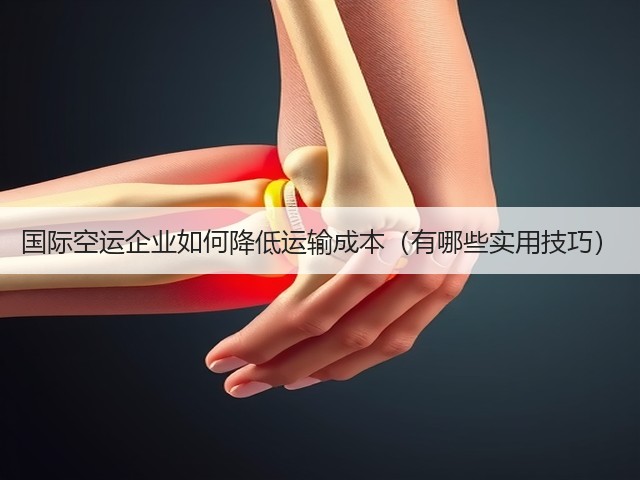 国际空运企业如何降低运输成本(有哪些实用技巧)(图3) 国际空运企业如何降低运输成本(有哪些实用技巧)(图3)