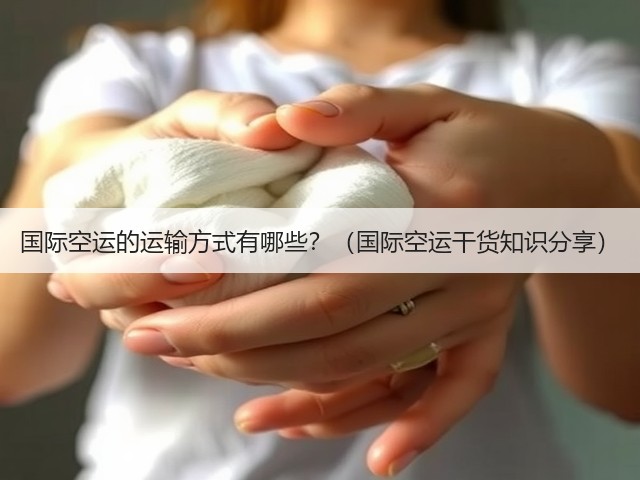 国际空运的运输方式有哪些?(国际空运干货知识分享)(图2) 国际空运的运输方式有哪些?(国际空运干货知识分享)(图2)