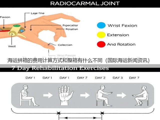 海运拼箱的费用计算方式和整箱有什么不同(国际海运新闻资讯)(图3) 海运拼箱的费用计算方式和整箱有什么不同(国际海运新闻资讯)(图3)