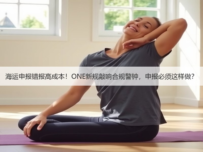 海运申报错报高成本!ONE新规敲响合规警钟,申报必须这样做? 海运申报错报高成本!ONE新规敲响合规警钟,申报必须这样做?