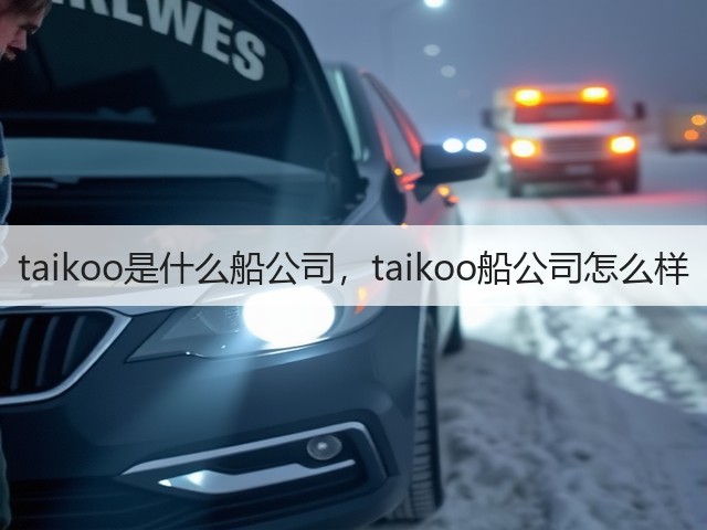 taikoo是什么船公司,taikoo船公司怎么样(图2) taikoo是什么船公司,taikoo船公司怎么样(图2)