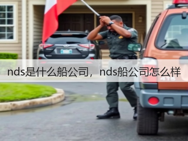 nds是什么船公司,nds船公司怎么样(图2) nds是什么船公司,nds船公司怎么样(图2)