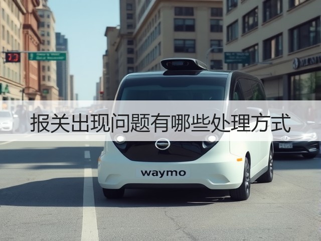 报关出现问题有哪些处理方式(图3) 报关出现问题有哪些处理方式(图3)