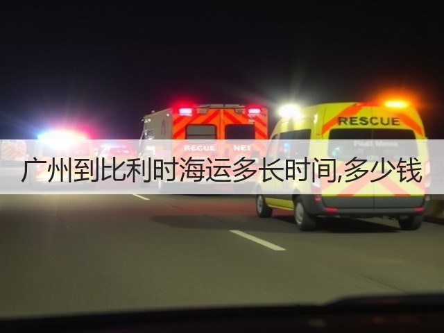 广州到比利时海运多长时间,多少钱(图3) 广州到比利时海运多长时间,多少钱(图3)