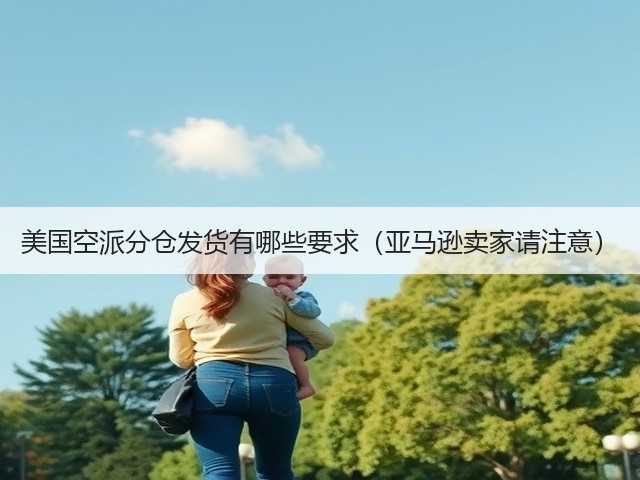 美国空派分仓发货有哪些要求(亚马逊卖家请注意)(图2) 美国空派分仓发货有哪些要求(亚马逊卖家请注意)(图2)