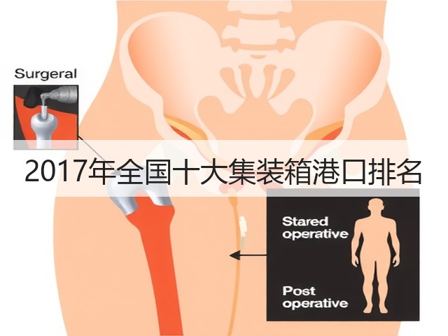 2017年全国十大集装箱港口排名(图3) 2017年全国十大集装箱港口排名(图3)