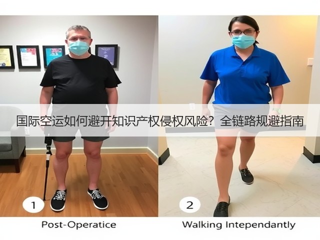 国际空运如何避开知识产权侵权风险?全链路规避指南(图1) 国际空运如何避开知识产权侵权风险?全链路规避指南(图1)