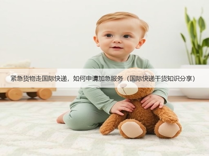 紧急货物走国际快递，如何申请加急服务（国际快递干货知识分享）