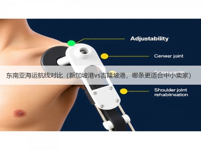 东南亚海运航线对比(新加坡港vs吉隆坡港,哪条更适合中小卖家)(图3) 东南亚海运航线对比(新加坡港vs吉隆坡港,哪条更适合中小卖家)(图3)