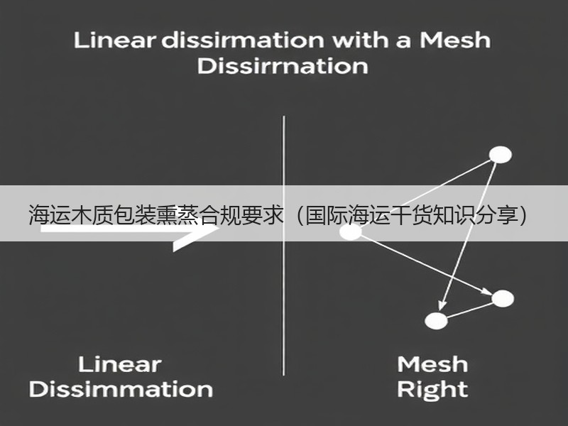 海运木质包装熏蒸合规要求（国际海运干货知识分享）