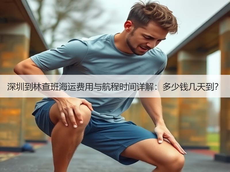 深圳到林查班海运费用与航程时间详解：多少钱几天到？