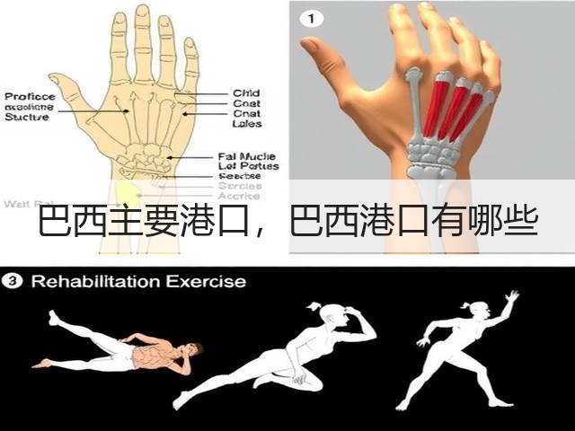 巴西主要港口,巴西港口有哪些(图2) 巴西主要港口,巴西港口有哪些(图2)