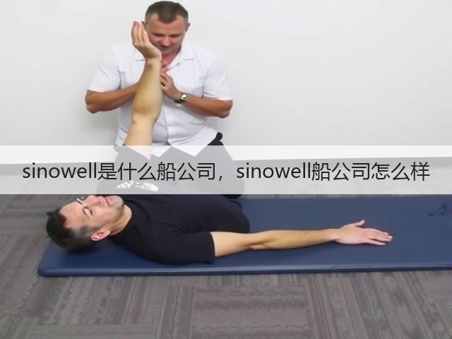 sinowell是什么船公司，sinowell船公司怎么样(图3)
