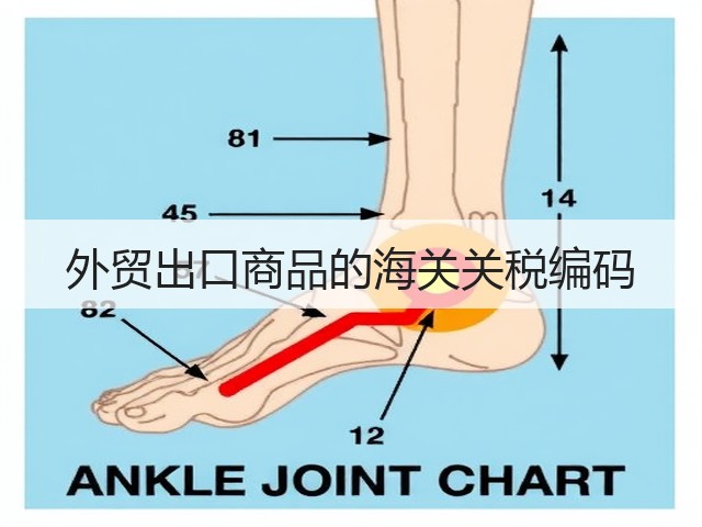 外贸出口商品的海关关税编码(图3) 外贸出口商品的海关关税编码(图3)