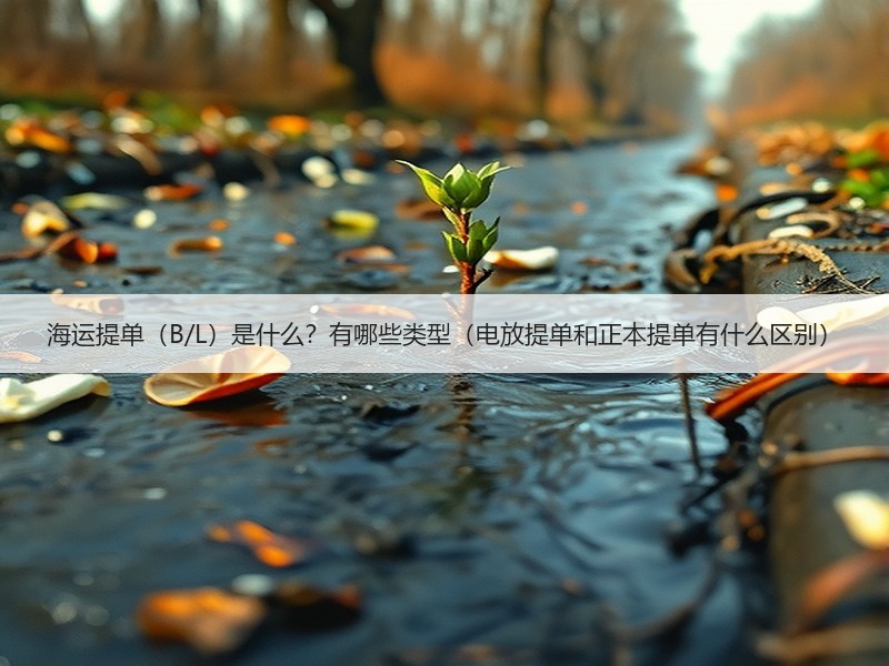 海运提单（B/L）是什么？有哪些类型（电放提单和正本提单有什么区别）