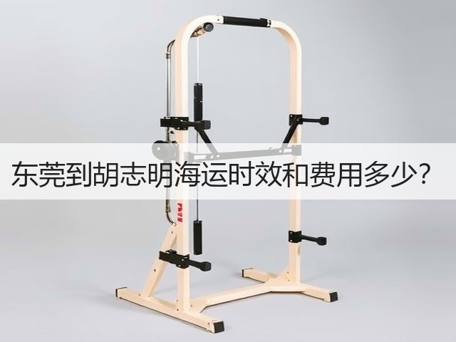 东莞到胡志明海运时效和费用多少?(图2) 东莞到胡志明海运时效和费用多少?(图2)