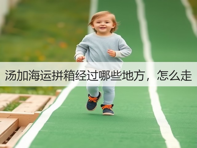 汤加海运拼箱经过哪些地方,怎么走(图2) 汤加海运拼箱经过哪些地方,怎么走(图2)