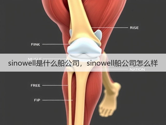 sinowell是什么船公司，sinowell船公司怎么样(图1)
