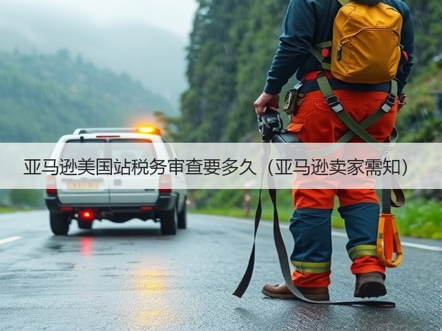 亚马逊美国站税务审查要多久(亚马逊卖家需知)(图2) 亚马逊美国站税务审查要多久(亚马逊卖家需知)(图2)
