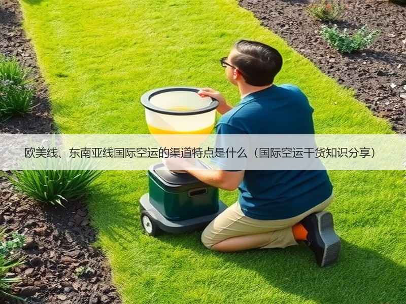 欧美线、东南亚线国际空运的渠道特点是什么（国际空运干货知识分享）