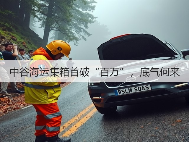 中谷海运集箱首破“百万”,底气何来(图3) 中谷海运集箱首破“百万”,底气何来(图3)