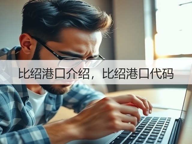 比绍港口介绍,比绍港口代码(图2) 比绍港口介绍,比绍港口代码(图2)